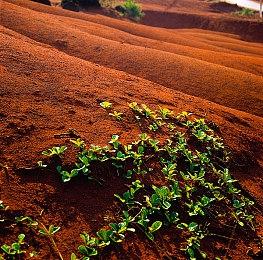 吴越丧葬民俗恐怖游戏《女吊》概念PV公布